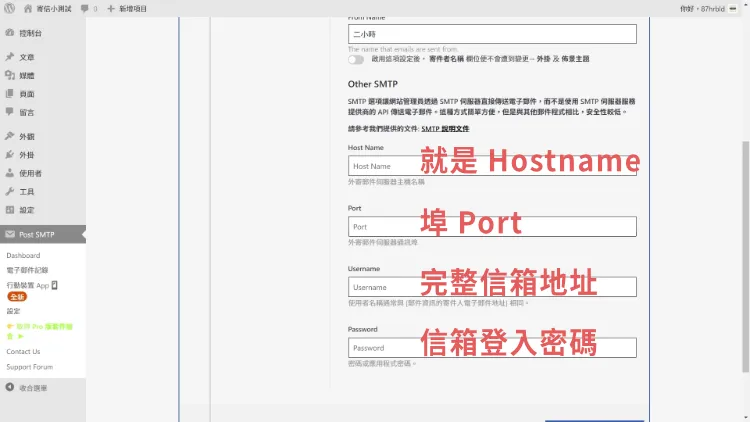 Post SMTP 使用 Other SMTP 的資料輸入畫面